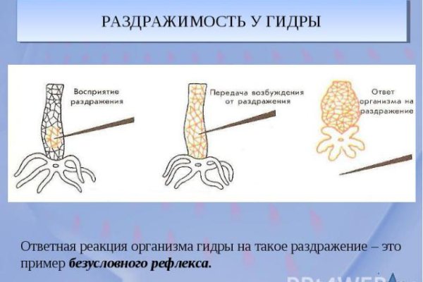Кракен даркнет плейс