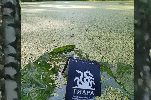 Ссылка кракен сегодня