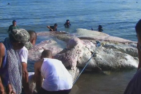 Kraken зеркало стор