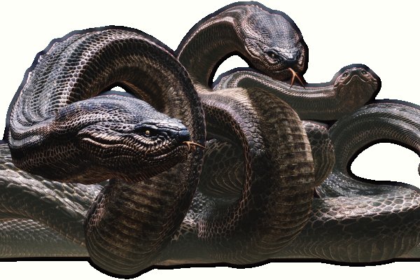 Kraken 17 at net