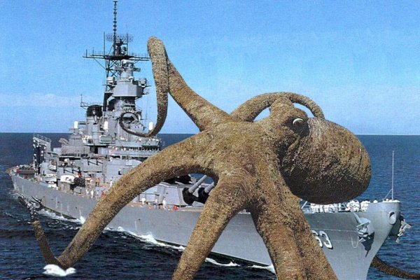 Kraken 26 at