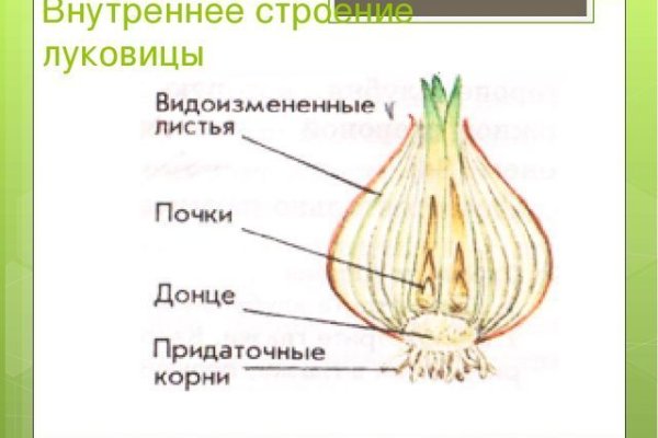 Ошибка на сервере кракен