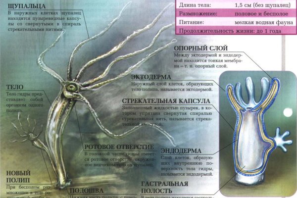 Кракен какой сайт