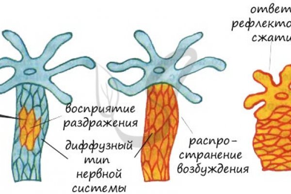 Kraken зеркала маркетплейс