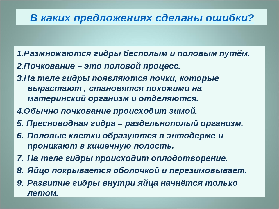 Нарко маркетплейсы